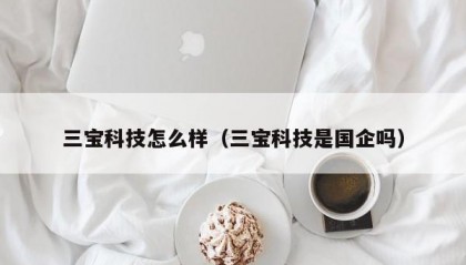 三宝科技怎么样（三宝科技是国企吗）