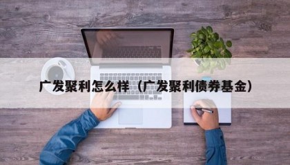 广发聚利怎么样（广发聚利债券基金）