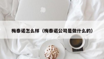 梅泰诺怎么样（梅泰诺公司是做什么的）