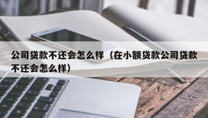 公司贷款不还会怎么样（在小额贷款公司贷款不还会怎么样）