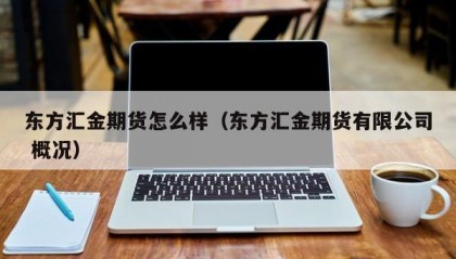 东方汇金期货怎么样（东方汇金期货有限公司 概况）