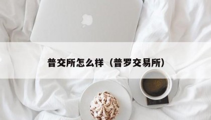 普交所怎么样（普罗交易所）